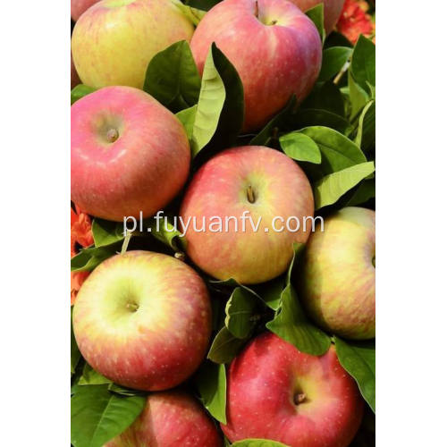 Wysokiej jakości świeże nowe jabłko Qinguan